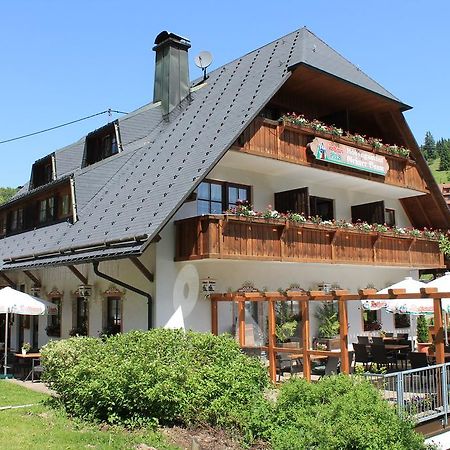 Hotel & Restaurant Gruner Baum - Die Grune Oase Am Feldberg Feldberg  Ngoại thất bức ảnh