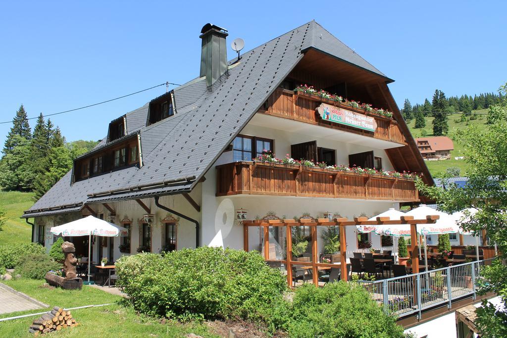 Hotel & Restaurant Gruner Baum - Die Grune Oase Am Feldberg Feldberg  Ngoại thất bức ảnh