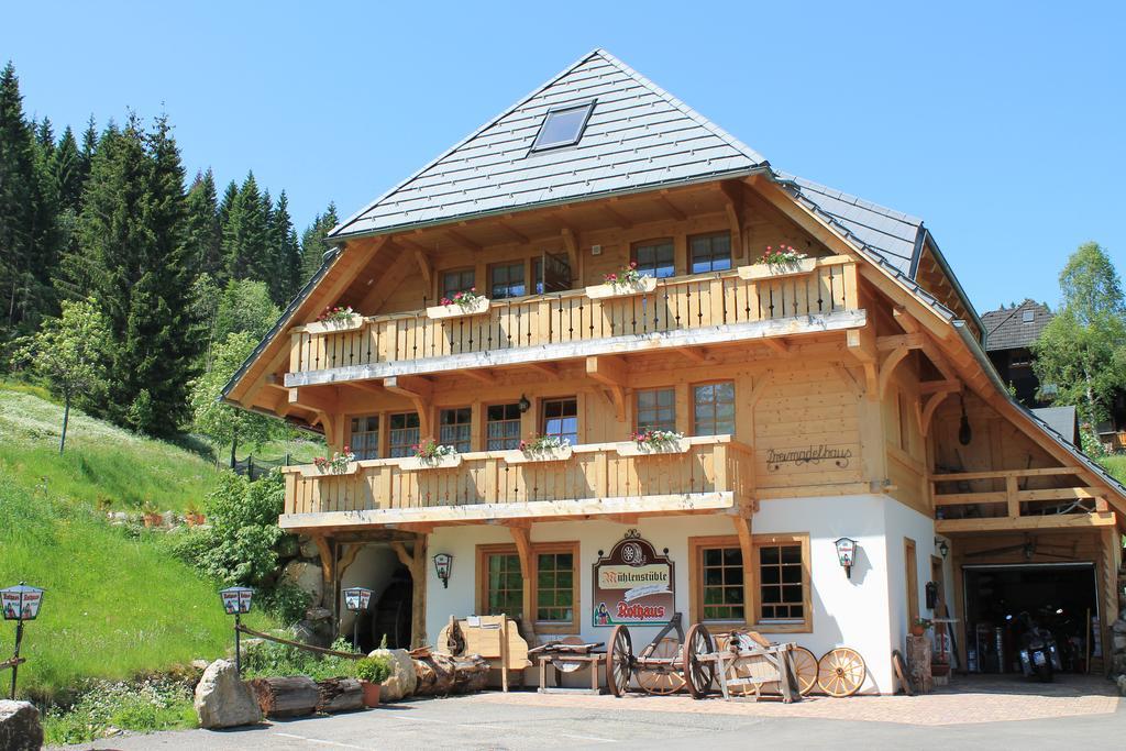 Hotel & Restaurant Gruner Baum - Die Grune Oase Am Feldberg Feldberg  Ngoại thất bức ảnh