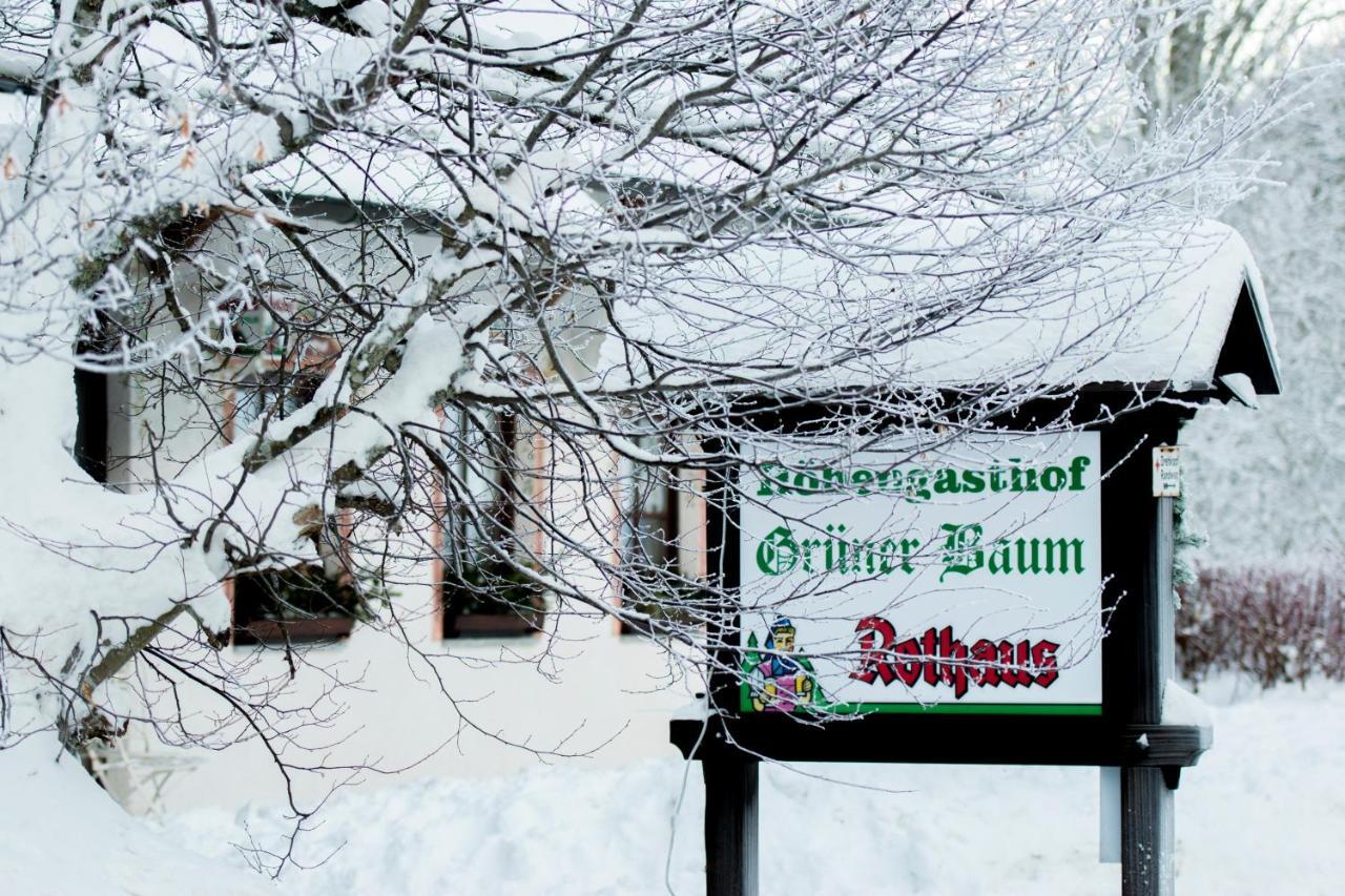 Hotel & Restaurant Gruner Baum - Die Grune Oase Am Feldberg Feldberg  Ngoại thất bức ảnh